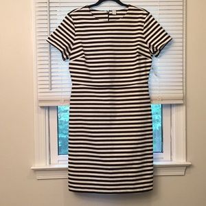 NWT Old Navy Fitted Knee Length Dress